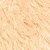 Luxury Camel
